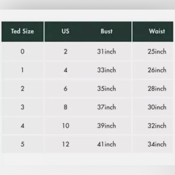 Ted Baker Bettiaa Velvet Devore Puff Sleeve - Picture 4 of 4